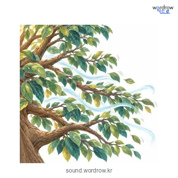 솨솨의 소리 발생 장면
