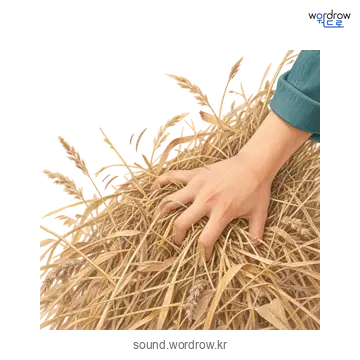 뻐스럭의 소리 발생 장면