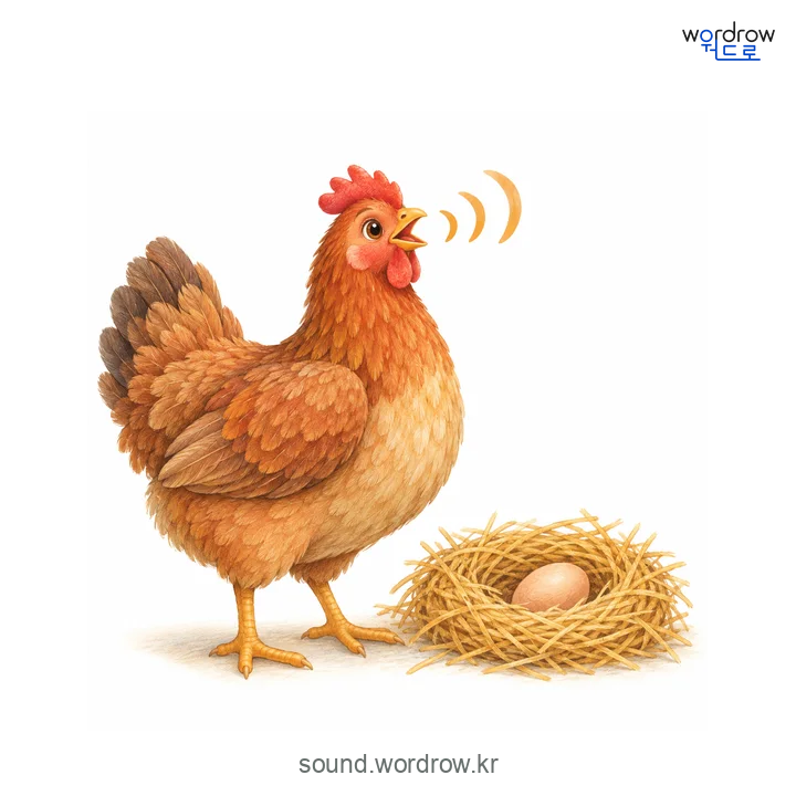 꼬꼬댁꼬꼬댁의 소리 발생 장면